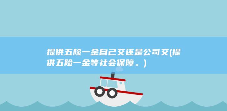 提供五险一金自己交还是公司交 (提供五险一金等社会保障。)